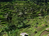 Bali_2015-03-27_11-05-51_040.JPG