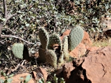 Canyons_2014-09-25_14-29-01