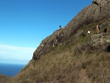 Fiji_061_2014-11-13_13-14-28