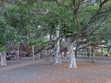 Hawaii_2014-10-14_19-50-28