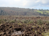 Hawaii_2014-10-20_18-34-50