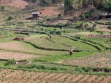 Myanmar_2015-04-08_15-56-05_144.JPG