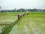 Myanmar_2015-04-13_13-55-27_019.JPG