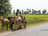 Myanmar_2015-04-23_10-00-30_072.JPG