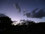 2015-01-30_20-06-10