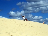 2015-02-06_10-54-12