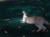2015-02-10_10-03-30
