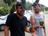 2015-02-16_14-45-01