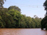 Borneo_2015-06-05_16-51-59_039