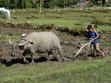 Vietnam_2015-05-01_15-01-31_009