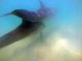 DCIM104GOPRO