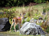 Whistler_Tofino_2014-09-02_13-27-56