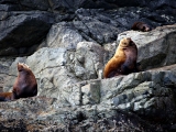 Whistler_Tofino_2014-09-03_10-30-07