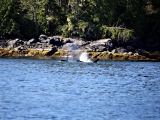 Whistler_Tofino_2014-09-03_11-50-12